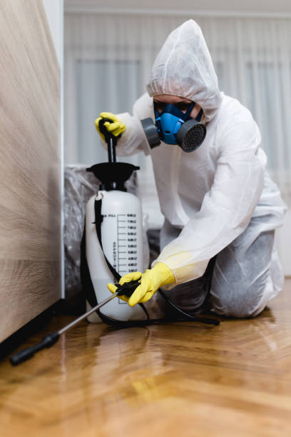 Best Residential Pest Control  in Holbrook, AZ